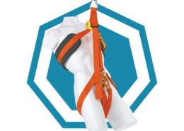 Co-Worker Rescue Course