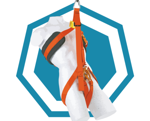 Co-Worker Rescue Course