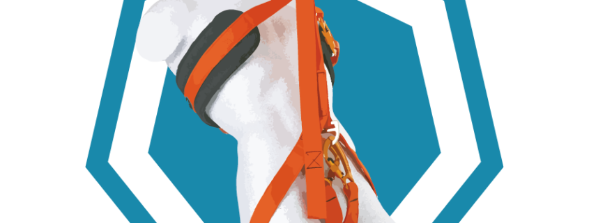 Co-Worker Rescue Course