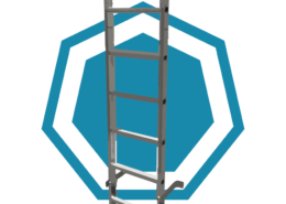 Fixed Vertical Ladder Climber Course