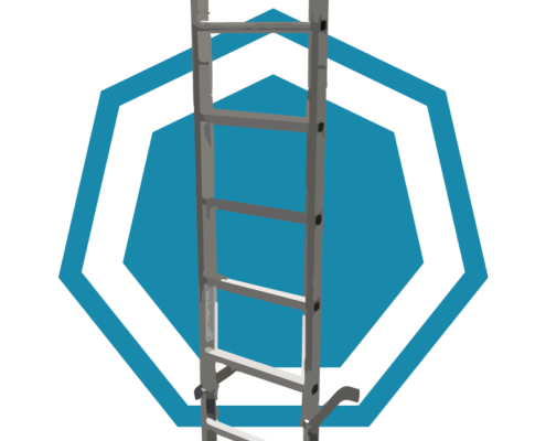 Fixed Vertical Ladder Climber Course