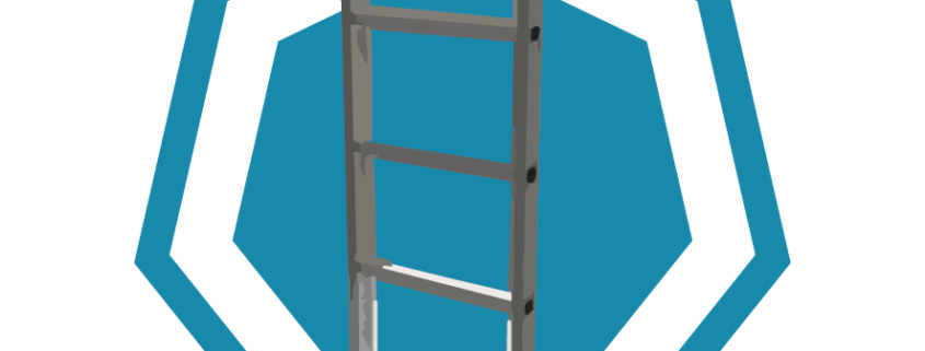 Fixed Vertical Ladder Climber Course