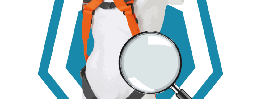 Focused Personal Fall Protection Equipment Inspector Course